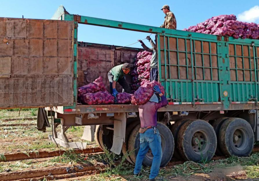 Nhận chở 20.000kg hành cho 1 người đàn ông, tài xế xe tải bất ngờ bị cảnh sát triệu tập: Tổn thất gấp 11 lần so với tiền công!- Ảnh 2.