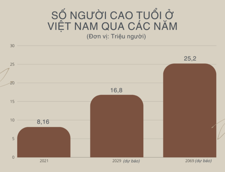 Nền kinh tế bạc, thị trường tỷ đô đang bị bỏ ngỏ ở Việt Nam- Ảnh 13.