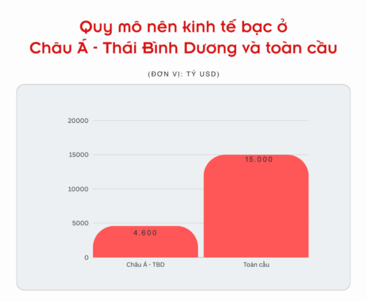 Nền kinh tế bạc, thị trường tỷ đô đang bị bỏ ngỏ ở Việt Nam- Ảnh 4.