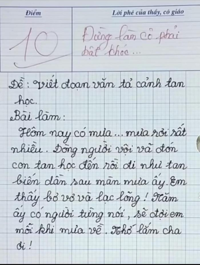Học sinh tiểu học viết bài văn, chỉ 8 dòng mà khiến cô giáo bật khóc và lập tức chấm 10 điểm- Ảnh 1.
