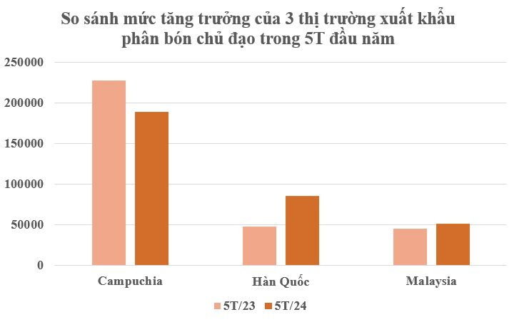 Thay thế Trung Quốc, một mặt hàng của Việt Nam bất ngờ lên cơn sốt: Thu gần 300 triệu USD kể từ đầu năm, Campuchia, Hàn Quốc đều mạnh tay săn lùng- Ảnh 4.