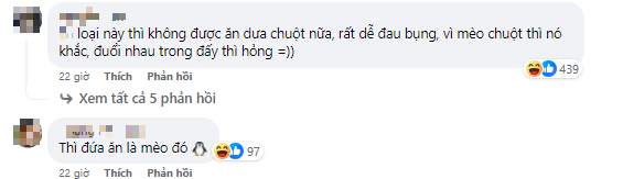 Mua dưa mèo đang hot về ăn thử thì hoang mang vì giống hệt... dưa chuột, rốt cuộc đây là giống dưa gì?- Ảnh 2.