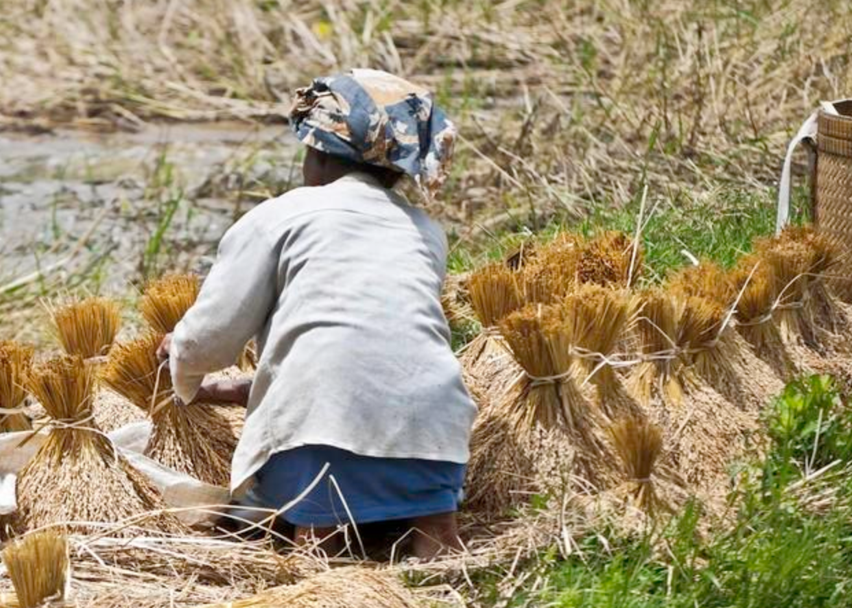 68 tuổi, tôi sống hạnh phúc bên 3 cô con gái xinh đẹp, tài giỏi khiến chồng cũ và gia đình chồng hối hận vì xưa ‘trọng nam khinh nữ'- Ảnh 1.