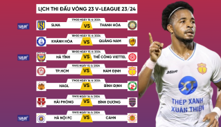 Hải Phòng và Thể Công Viettel nhận án phạt trước vòng 23 V-League 2023/2024- Ảnh 2.