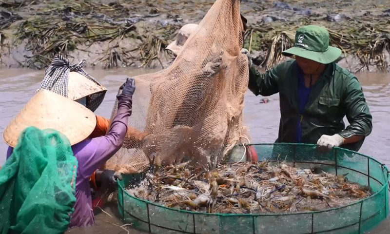 Dáng đứng Bến Tre giữa thời bình (Kỳ cuối)- Ảnh 4.