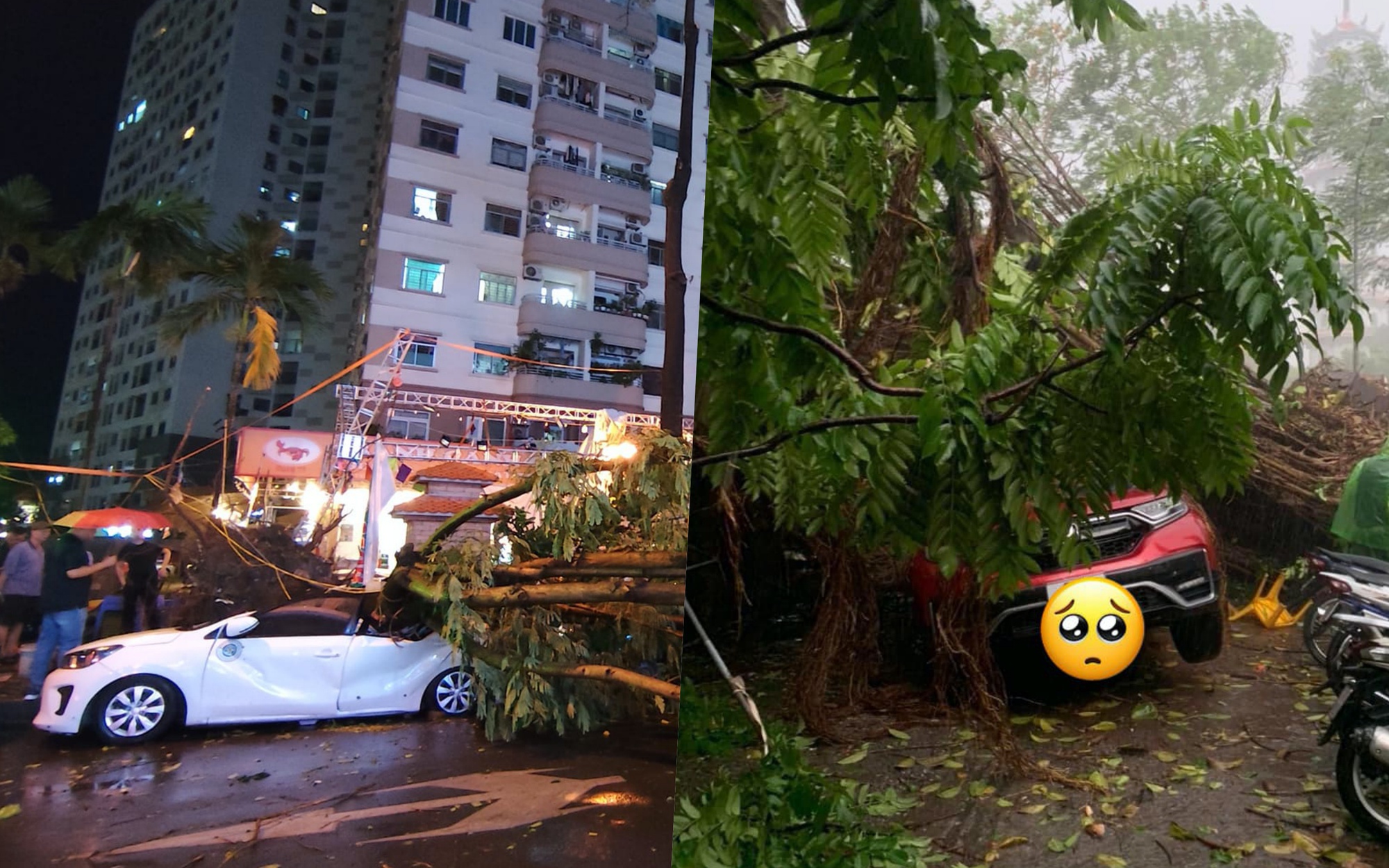 Hà Nội mưa dông bất chợt, cây đổ đè bẹp xe ô tô