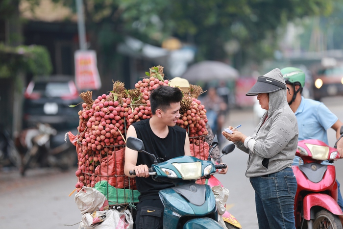 Sự thật về giá vải ở Lục Ngạn cao kỷ lục, có thời điểm lên đến 96.000 đồng/kg- Ảnh 5.