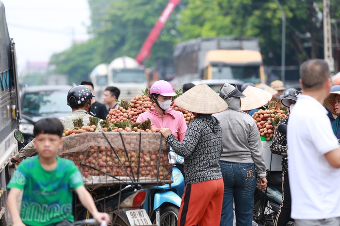 Sự thật về giá vải ở Lục Ngạn cao kỷ lục, có thời điểm lên đến 96.000 đồng/kg- Ảnh 2.