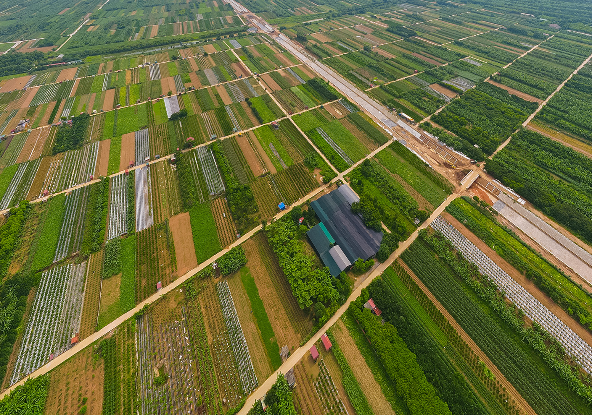 Toàn cảnh khu đô thị 268 ha sắp đấu thầu chọn nhà đầu tư, nằm giữa hai cây cầu dây văng, liền kề khu đô thị 42.000 tỷ của Vinhomes- Ảnh 7.