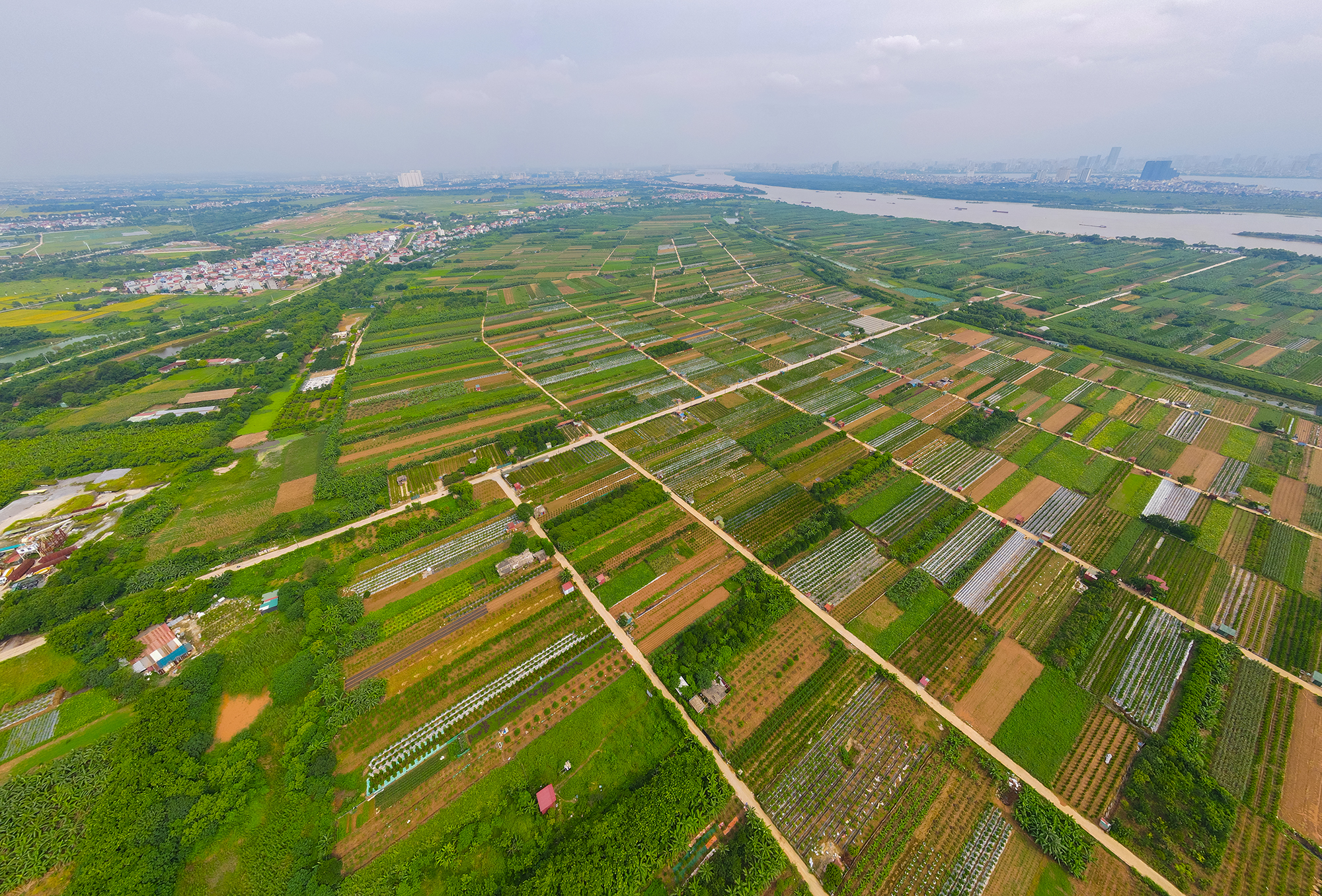 Toàn cảnh khu đô thị 268 ha sắp đấu thầu chọn nhà đầu tư, nằm giữa hai cây cầu dây văng, liền kề khu đô thị 42.000 tỷ của Vinhomes- Ảnh 9.