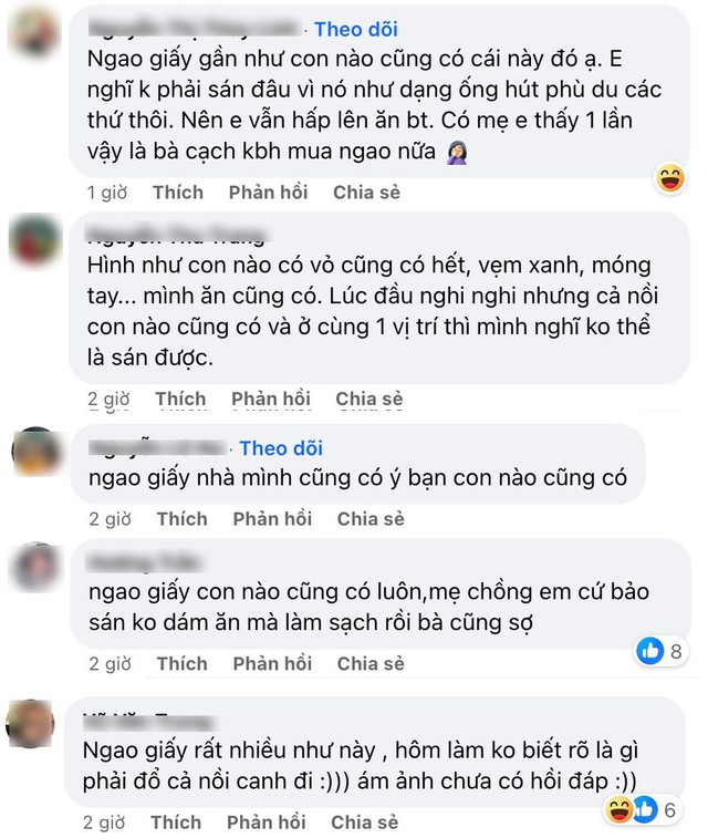 Thực khách gặp vật thể lạ nhìn như sán khi ăn ngao, không ngờ nhiều người cũng gặp cảnh tương tự- Ảnh 4.