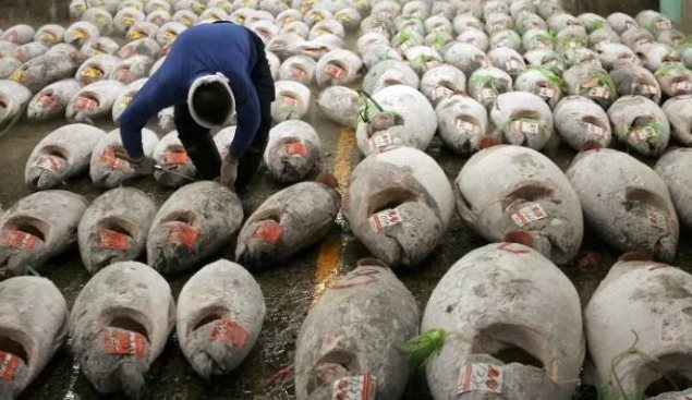Siêu thực phẩm của Việt Nam được liên tục săn lùng: Thu gần 400 triệu trong 5 tháng, hơn 80 quốc gia khác 'đặt gạch' mua hàng- Ảnh 1.
