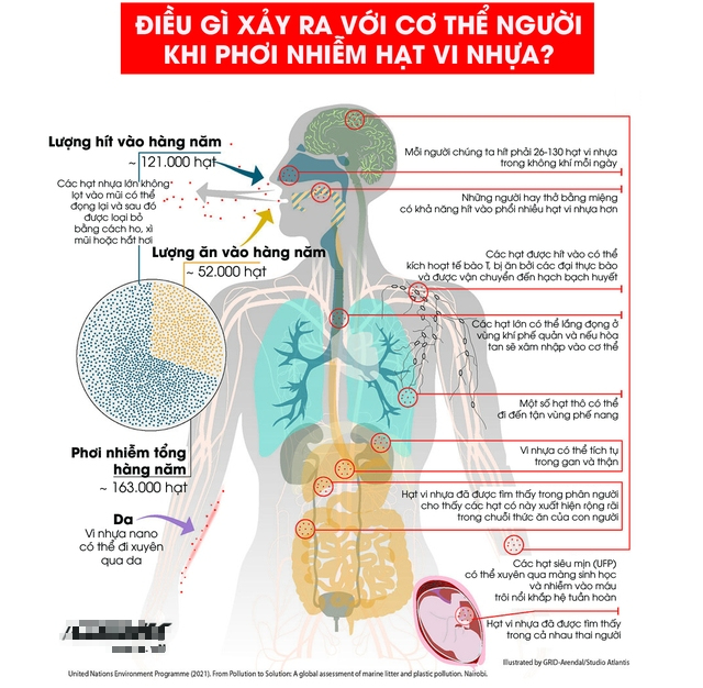 Khi cá ngoài biển vướng phải túi nilon, trong cơ thể người, tinh trùng cũng đang bơi cạnh hạt vi nhựa- Ảnh 5.