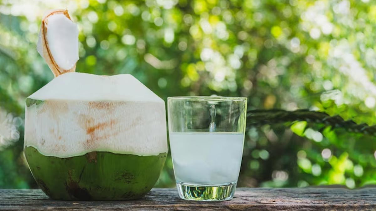 Mùa hè uống nước dừa thường xuyên có tốt không?- Ảnh 4.