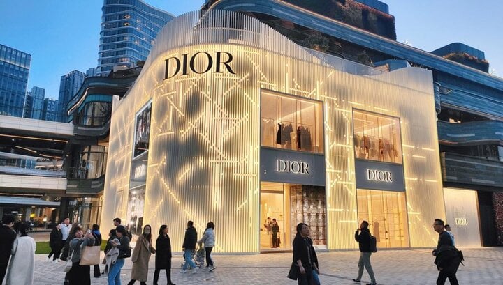 Thổi phồng giá túi xách 50 lần, Dior bị tẩy chay- Ảnh 1.