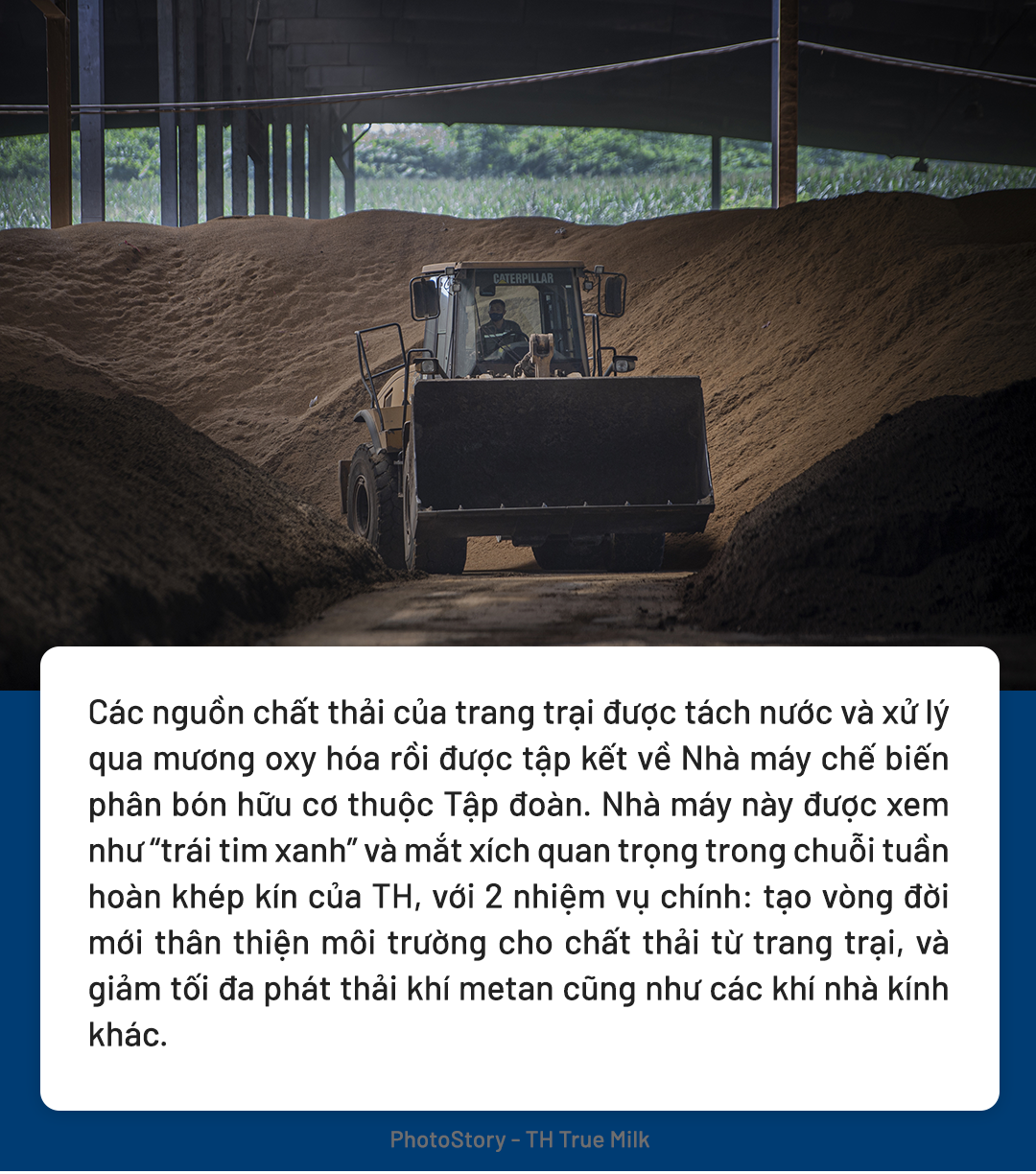 Công nghệ xanh thúc đẩy kinh tế tuần hoàn tại trang trại bò sữa TH true MILK- Ảnh 6.