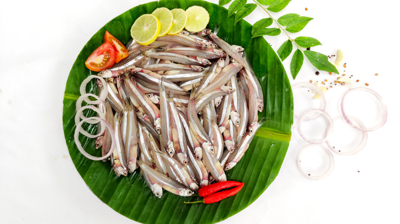 Loại cá là "kho omega-3 và chất sắt" cực tốt cho sức khỏe tim mạch, chợ Việt bán đầy giá lại rẻ- Ảnh 4.