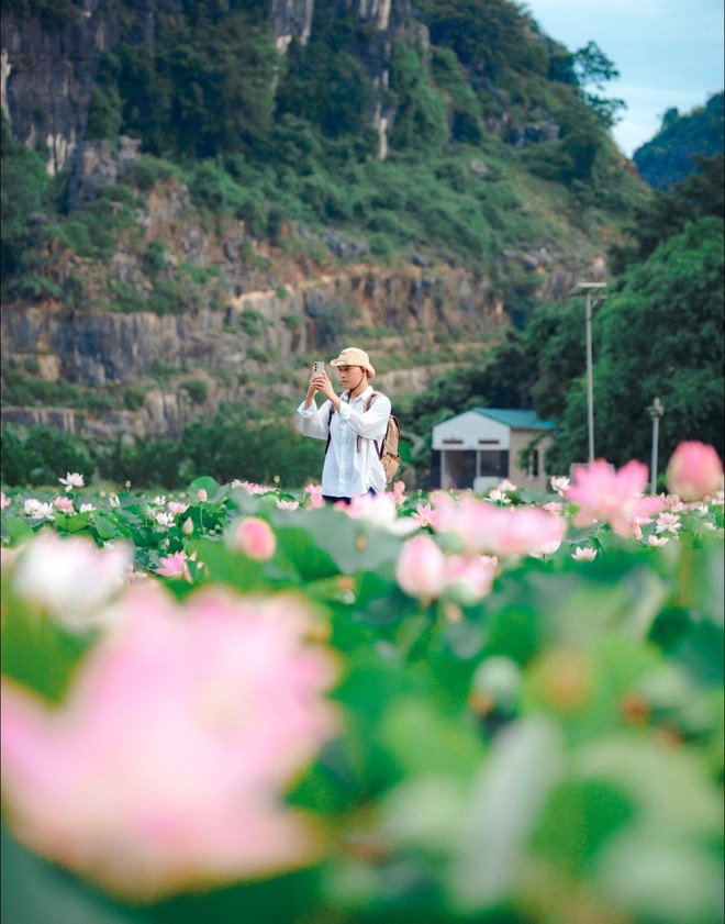 Mùa sen Ninh Bình bắt đầu nở rộ rồi, thời điểm đẹp nhất để "săn ảnh" hoa sen đây chứ đâu!- Ảnh 17.