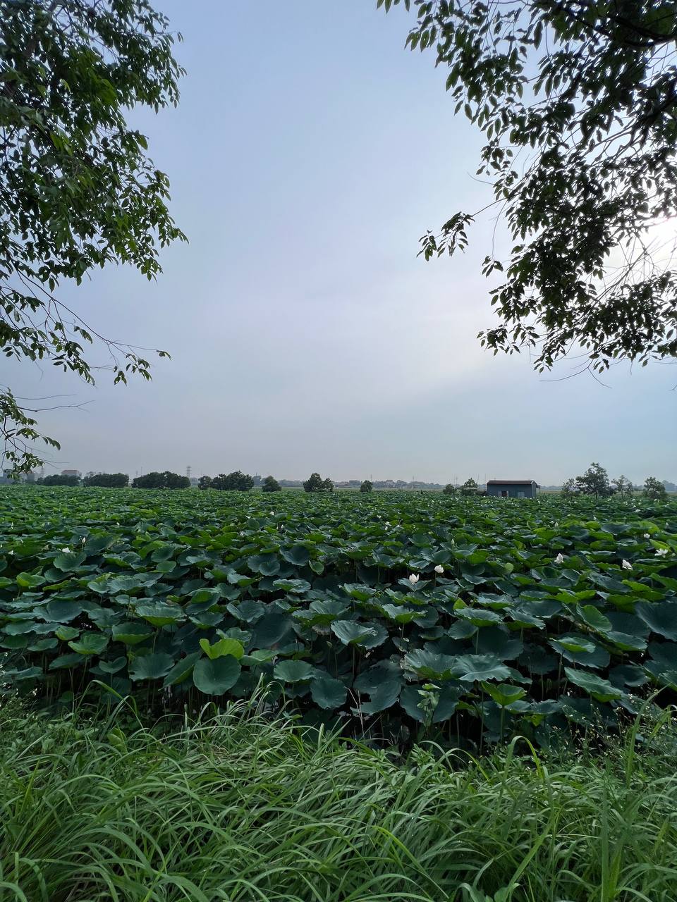 Nữ bác sĩ mỗi ngày vượt quãng đường 2 chiều 140 km từ Hải Dương lên Hà Nội để đi làm: Yêu cuộc sống ở quê nên tôi hài lòng!- Ảnh 7.