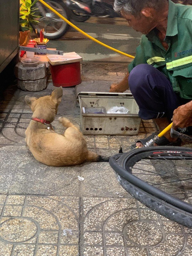 Ông bụt sửa xe và bé cún đang viral khắp cõi mạng: Bất chấp mưa gió, 1-2h sáng vẫn giải cứu hội gặp kiếp nạn- Ảnh 4.