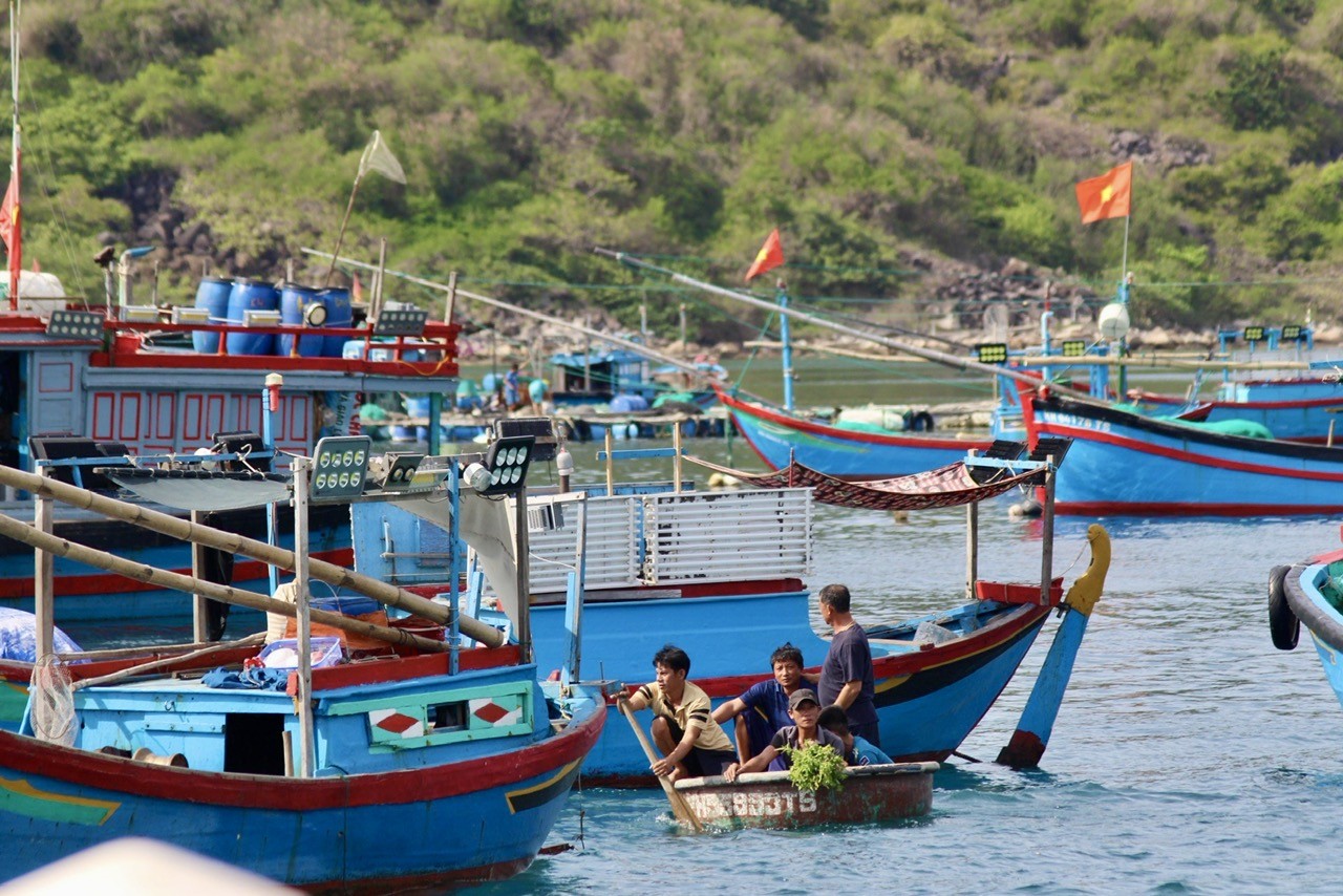 ‘Mắt biển’ ở vịnh Nha Trang có gì đặc biệt mà du khách thích mê?- Ảnh 9.