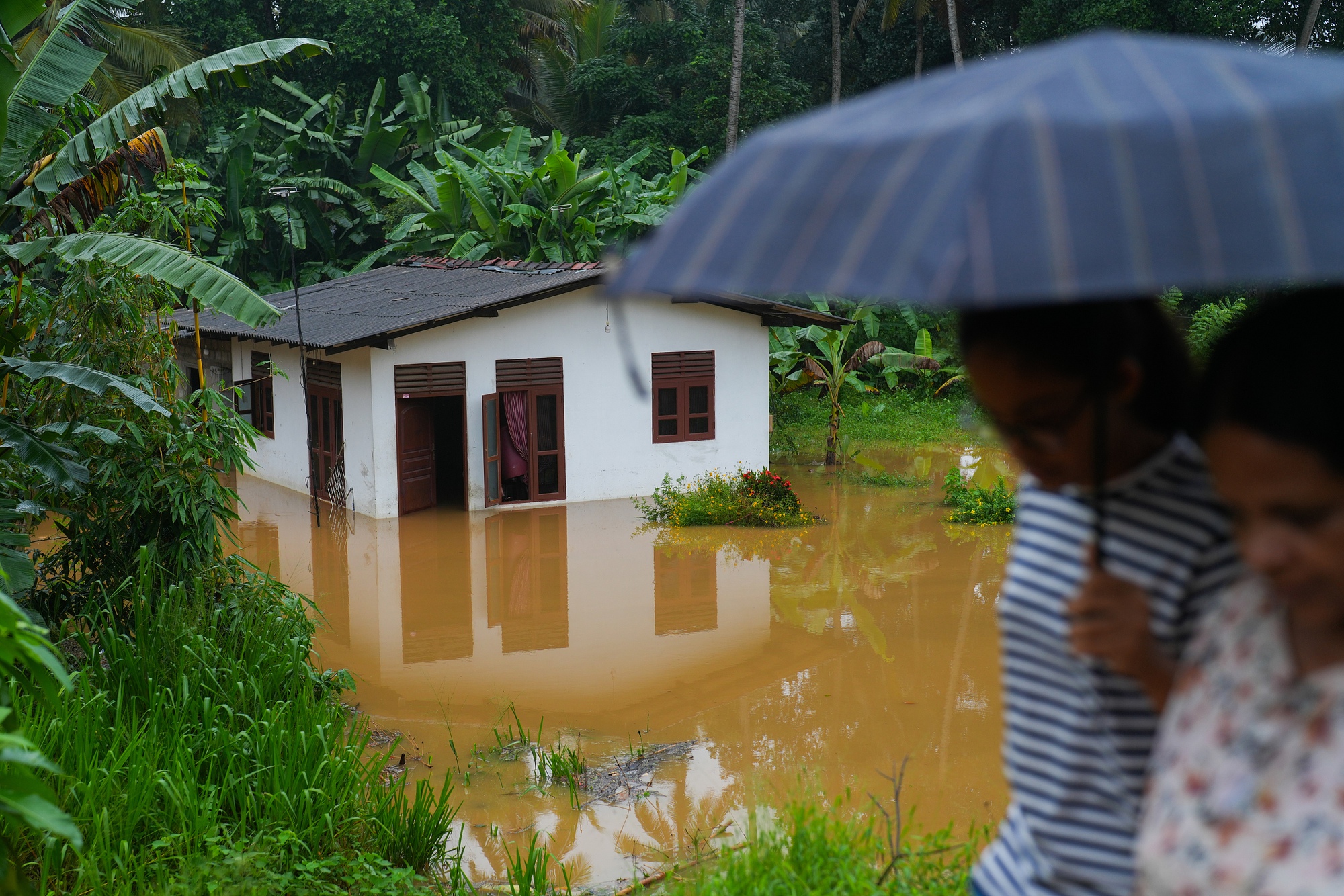 Thế giới chao đảo bởi thiên tai: Nắng nóng "giết" chết gần 100 người chỉ trong 24h tại 1 quốc gia châu Á, ngập lụt khiến Sri Lanka khốn khổ- Ảnh 18.