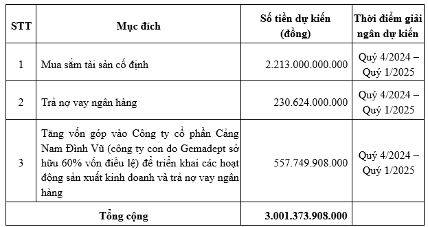 Công ty sở hữu cảng nước sâu lớn nhất Việt Nam lên kế hoạch doanh thu kỷ lục, muốn huy động 3.000 tỷ đồng từ các cổ đông- Ảnh 1.
