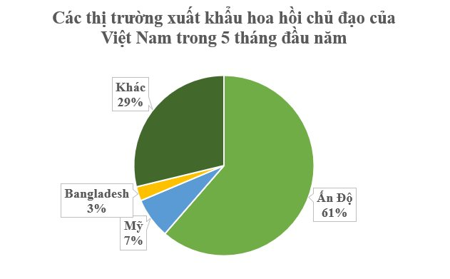 'Cánh hoa nghìn tỷ' cực hiếm của thế giới mọc đầy tại Việt Nam: Ấn Độ có bao nhiêu mua bấy nhiêu, nước ta xuất khẩu đứng thứ 2 toàn cầu- Ảnh 5.