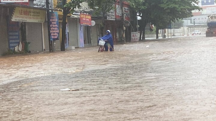 Hải Phòng, Quảng Ninh mưa lớn, đường ngập lút bánh xe- Ảnh 3.