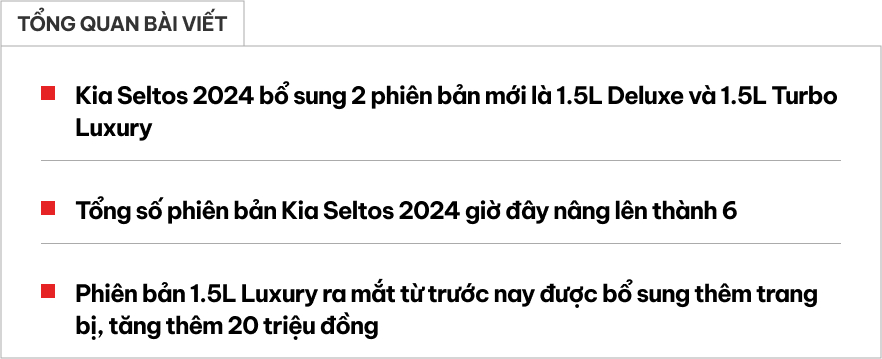 Kia Seltos 2024 thêm 2 phiên bản mới tại Việt Nam, bổ sung trang bị cho bản giữa, giá tăng thêm 20 triệu đồng- Ảnh 1.