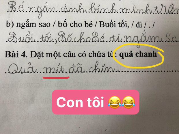 Học sinh tiểu học chỉ dùng 6 từ mà "bóc phốt" cả mẹ lẫn dì: Đọc xong giận lắm mà không cãi lại nổi- Ảnh 4.