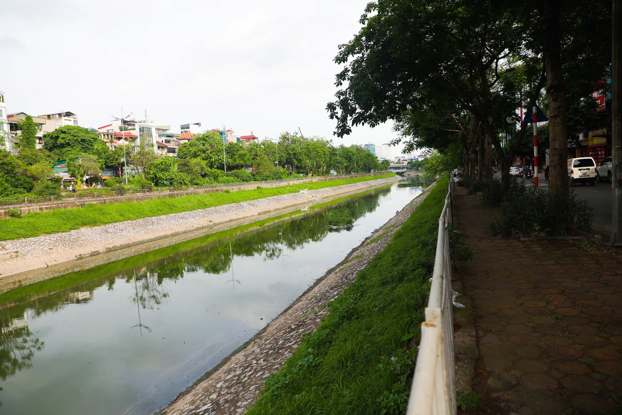 Lý giải nguyên nhân nước sông Tô Lịch bỗng chuyển màu xanh- Ảnh 3.