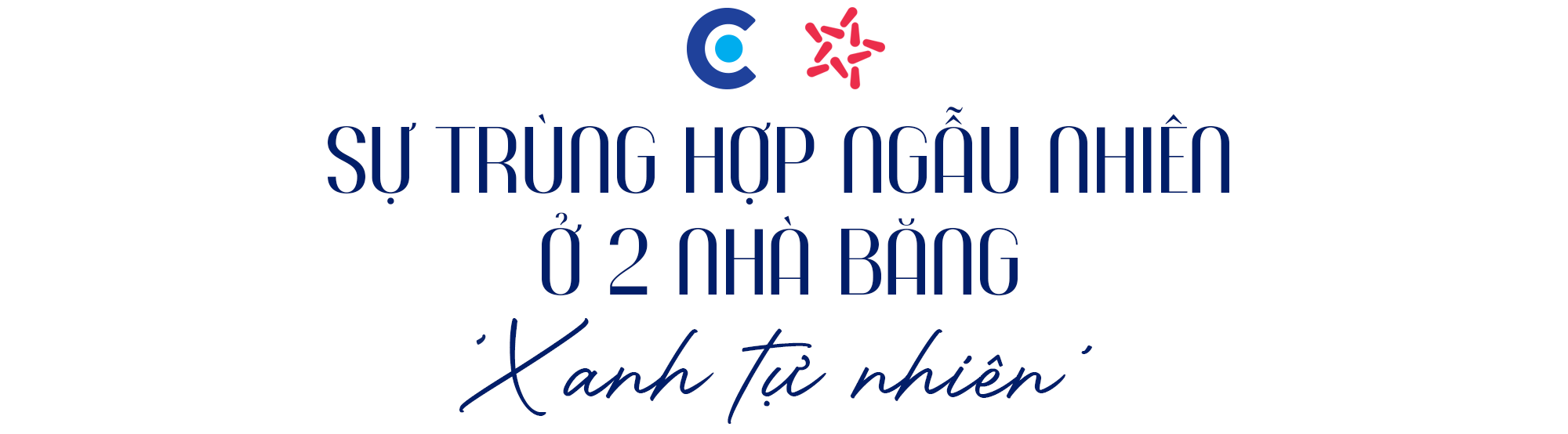 Điều đặc biệt ít người biết ở 2 ngân hàng ‘xanh tự nhiên’ tại Việt Nam- Ảnh 16.