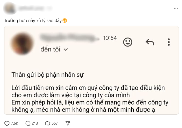 Phía sau câu chuyện nhân viên mới nhận việc viết email xin mang mèo đến công ty, HR đòi xử lý- Ảnh 1.