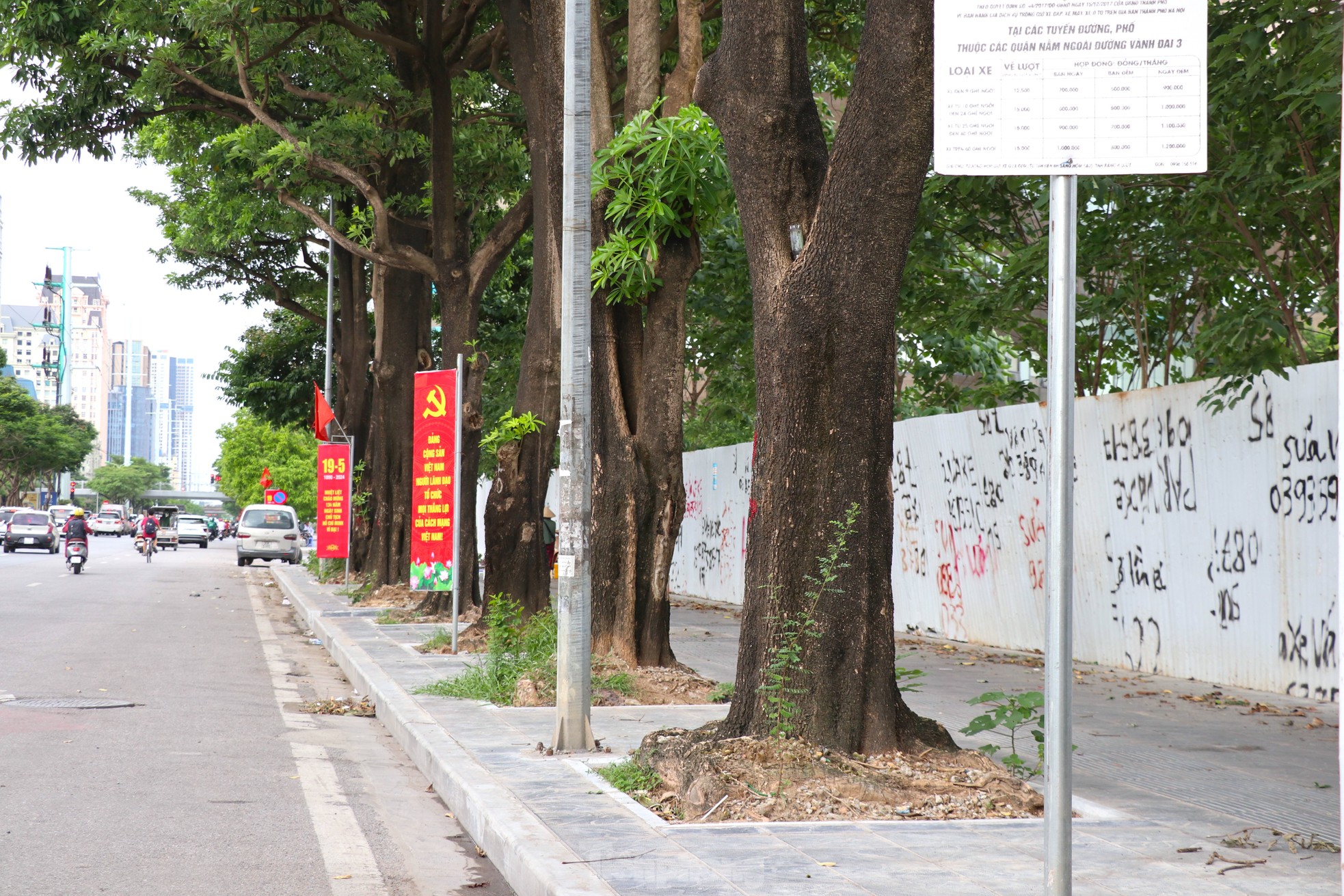 Hàng loạt cây xanh 'thoi thóp' sau cải tạo vỉa hè tại Hà Nội- Ảnh 11.