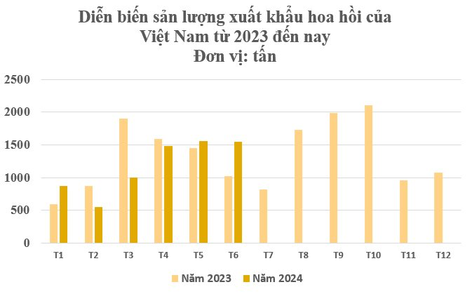 Hoa triệu đô thế giới rất hiếm nhưng Việt Nam sở hữu đến 40.000 ha: Ấn Độ liên tục săn đón, thu hơn 34 triệu USD kể từ đầu năm- Ảnh 3.