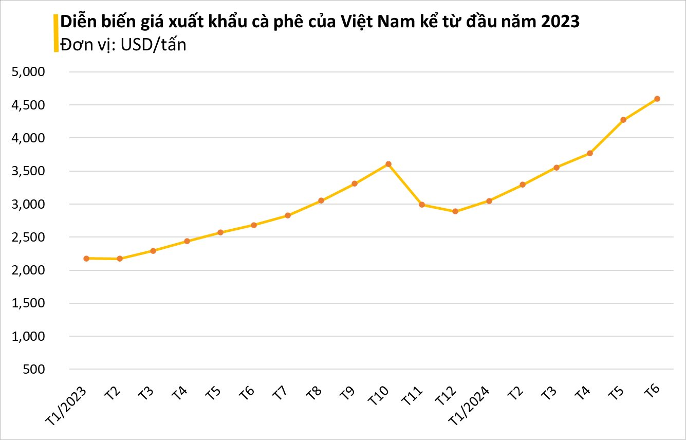 Loại hạt Việt Nam sản xuất lớn nhất thế giới đang gặp nguy - giá lên đỉnh 13 năm, dự đoán sẽ còn tiếp tục tăng phi mã- Ảnh 2.