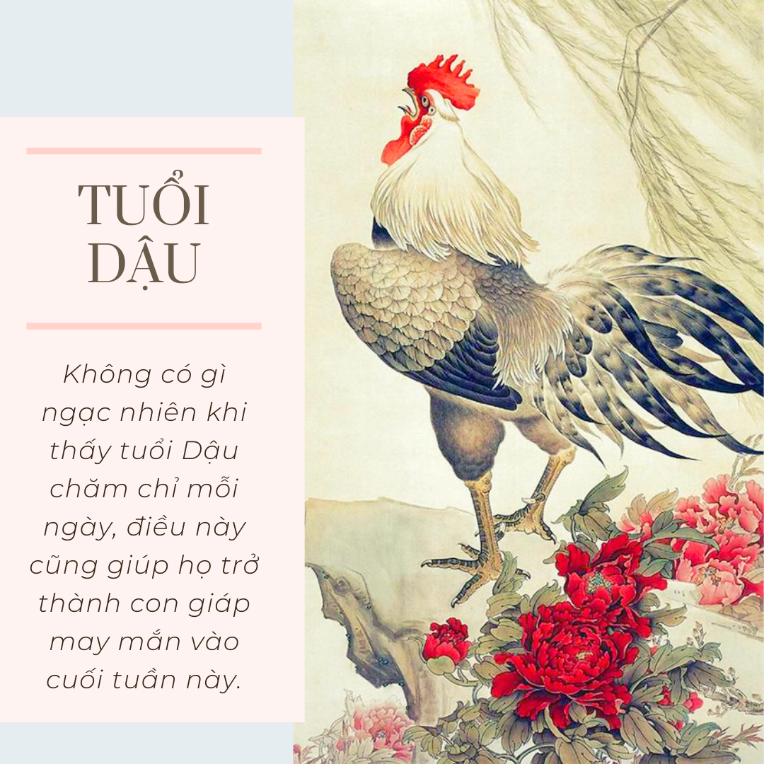 Cuối tuần này (11/7-14/7), 4 con giáp có Thần tài độ trì, ngày càng may mắn cả tiền lẫn tình- Ảnh 1.