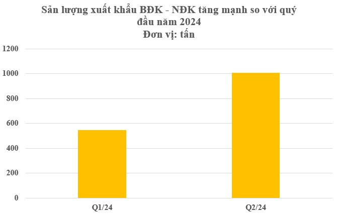 Một loại gia vị hiếm có khó tìm đắt thứ 3 thế giới nhưng Việt Nam có rất nhiều: Thu hơn 12 triệu USD trong nửa đầu năm, trồng trên 3 năm mới ra quả- Ảnh 2.