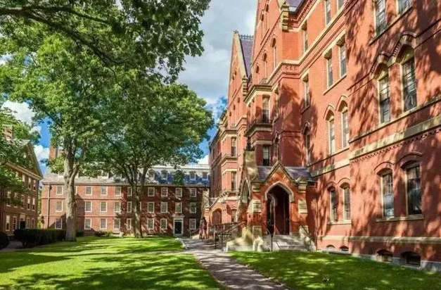 18 câu nói kinh điển của Đại học Harvard: Hôm nay đi bộ thì mai bạn sẽ phải chạy, ngay cả bây giờ đối thủ của bạn vẫn đang lật trang sách!- Ảnh 1.