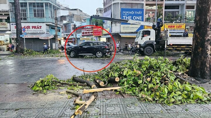 Mưa lớn ở TP.HCM làm cây đổ đè ô tô, 6 người may mắn thoát chết- Ảnh 1.