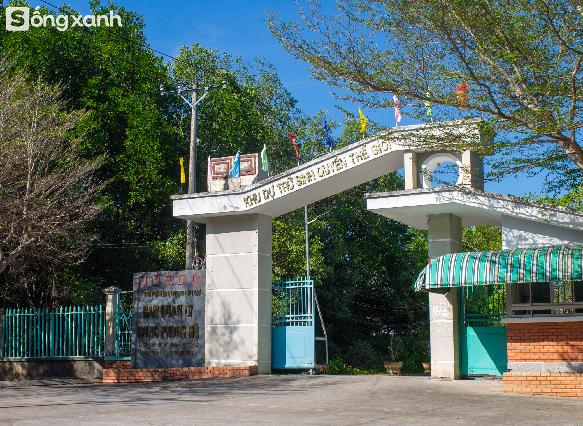 Khám phá bí mật bên trong "kho báu xanh" hiếm có đầu tiên ở Việt Nam được thế giới công nhận- Ảnh 1.