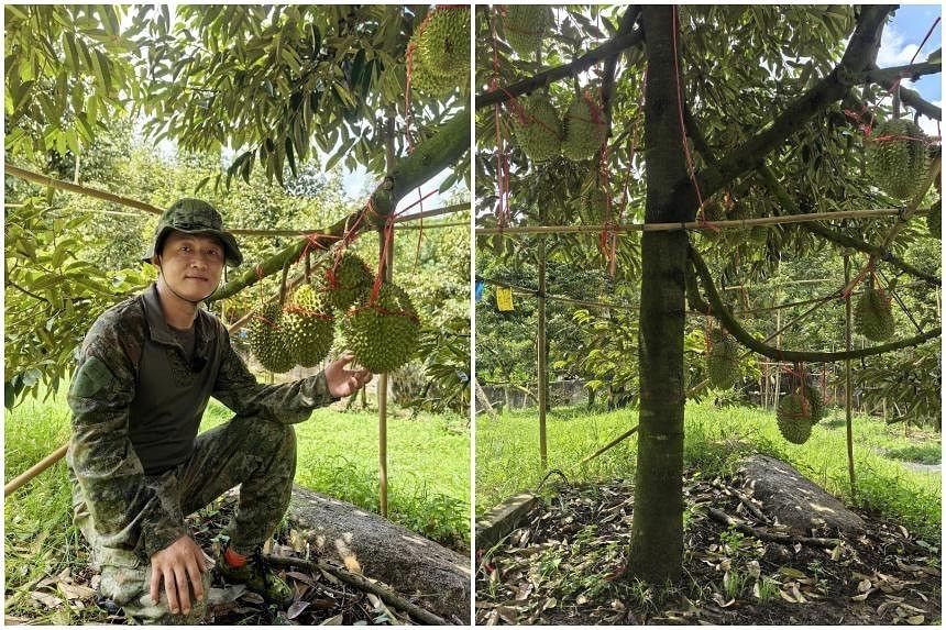 Trồng loại cây "bán giá nào cũng lãi" giống bầu Đức nhưng Trung Quốc vẫn chưa thành công: sản lượng ít, không vị, giá bán lại đắt đỏ- Ảnh 2.