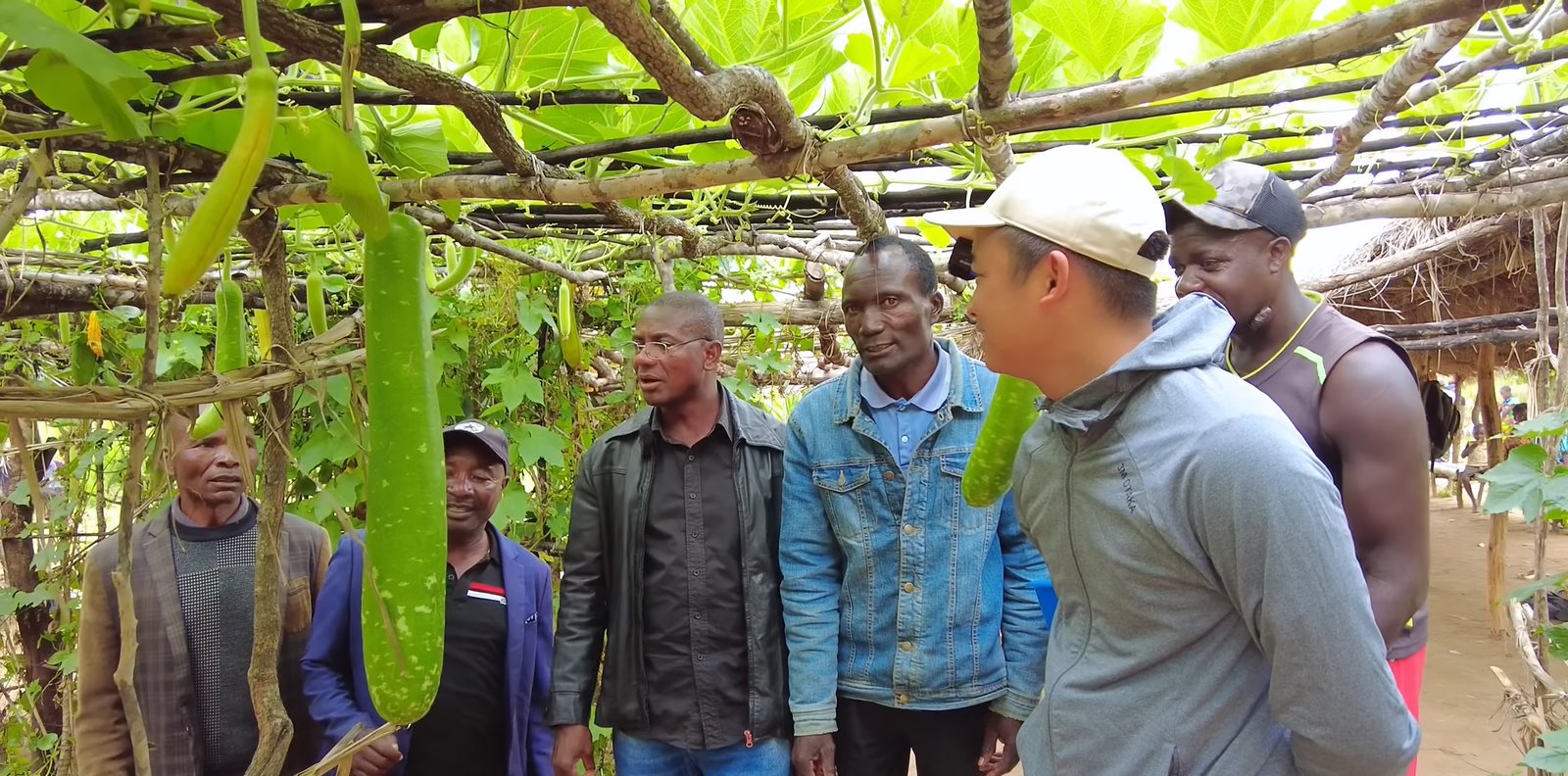 Phó Chủ tịch cùng Bí thư huyện về thăm trang trại của team Quang Linh châu Phi, 'đứng hình' trước giàn củ quả độc lạ từ Việt Nam- Ảnh 2.