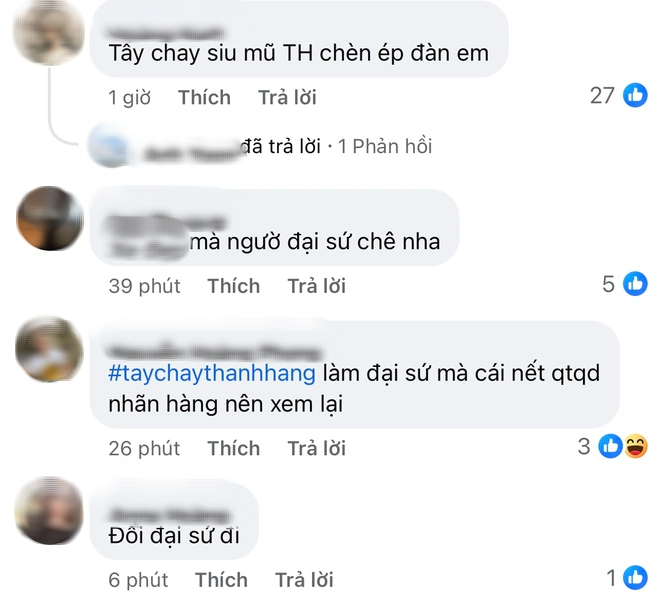 Loạt nhãn hàng Thanh Hằng làm đại sứ bị "tấn công"- Ảnh 4.