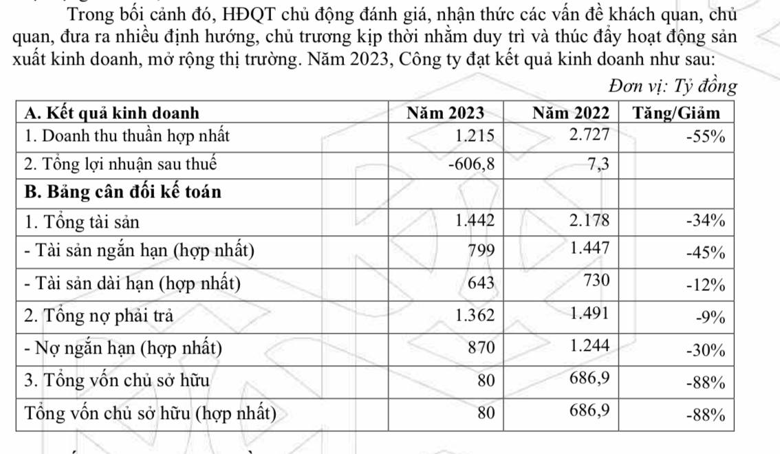 Lỗ kỷ lục, sếp Nhựa Đông Á (DAG) tự nguyện không nhận lương- Ảnh 2.