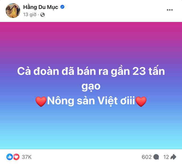 Hằng Du Mục "flex" lượng gạo khổng lồ đã bán trong livestream, tiếp tục kêu gọi ủng hộ Quang Linh Vlogs- Ảnh 6.