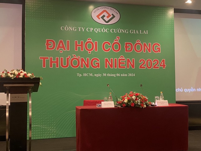 Bà Như Loan từng nêu lý do gì để không dự họp cổ đông Quốc Cường Gia Lai năm 2024?- Ảnh 5.