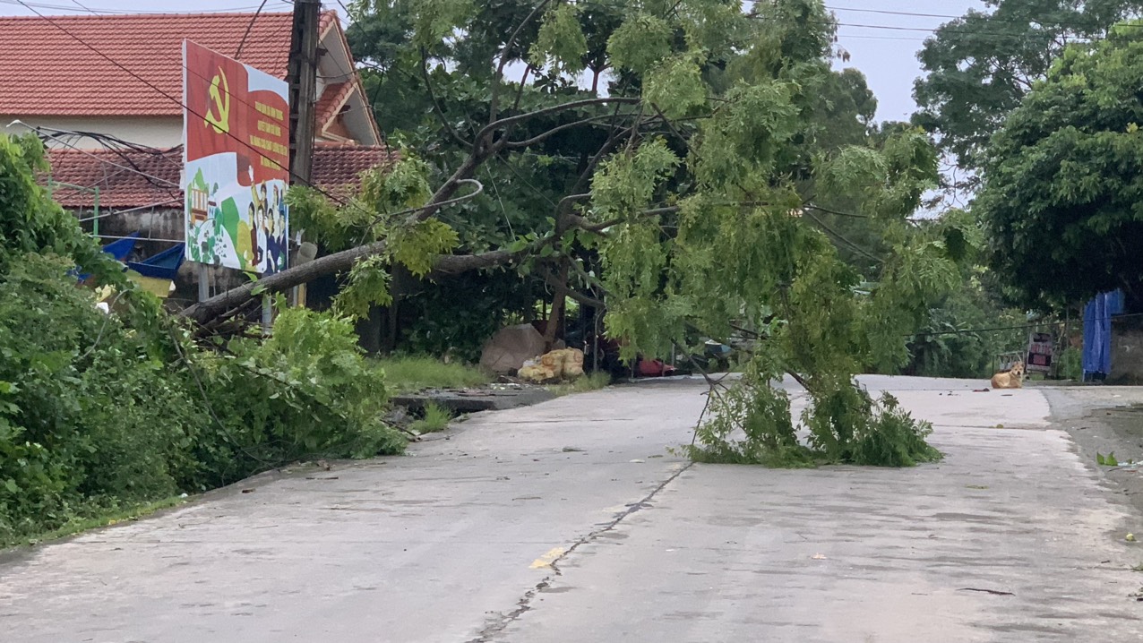 Những thiệt hại ban đầu khi bão số 2 đổ bộ Quảng Ninh- Ảnh 5.