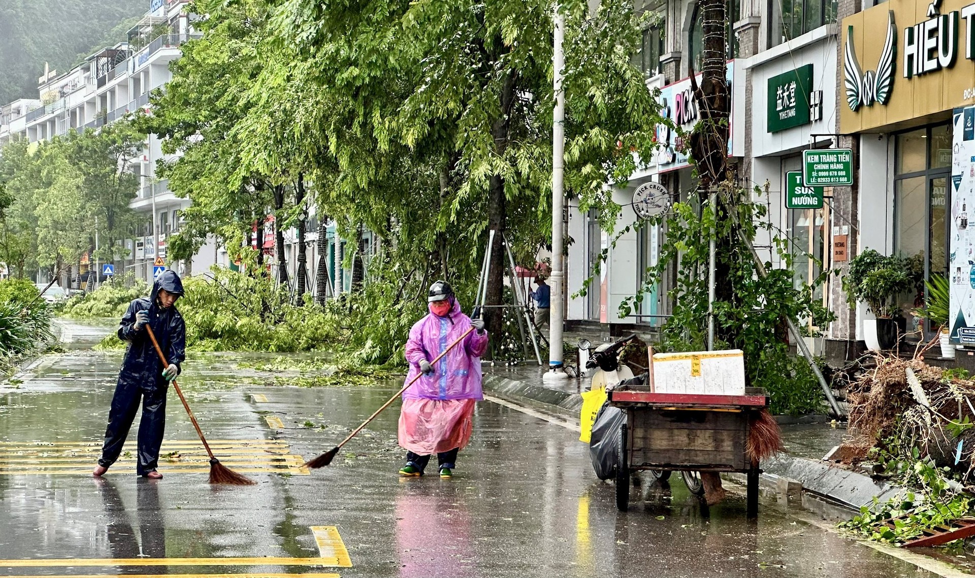 Bão số 2 đổ bộ Quảng Ninh: Hàng loạt cây xanh bị quật đổ, nhà dân sạt lở, ngập lụt- Ảnh 1.